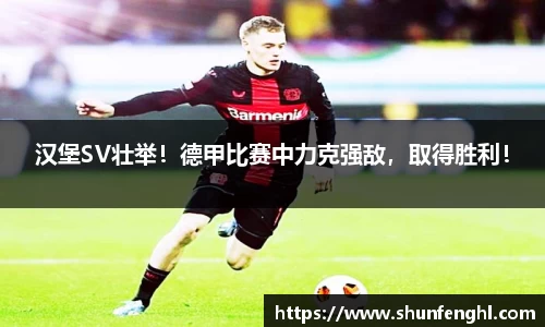 BB贝博登录入口