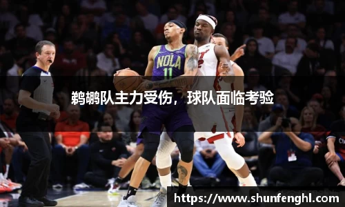 鹈鹕队主力受伤，球队面临考验