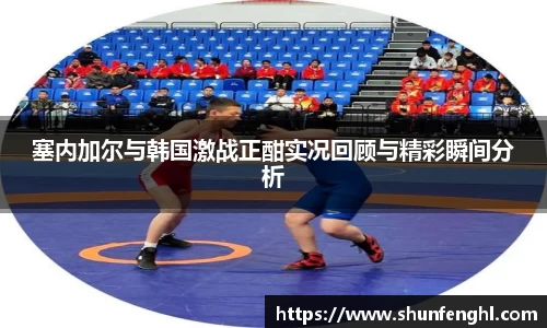 塞内加尔与韩国激战正酣实况回顾与精彩瞬间分析