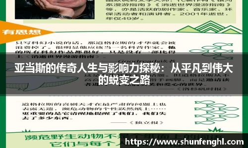 BB贝博登录入口